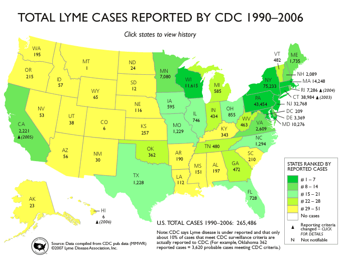 Lyme by the Numbers