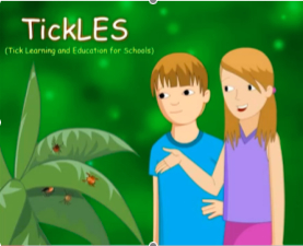 Top 10 LDA Resources To Deal With Ticks