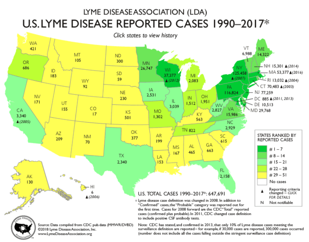 Interactive US Map & Analyses of CDC Reported Lyme Disease Cases