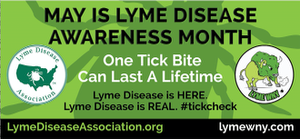What Is Lyme Disease – How Can You Protect Yourself & Your Family