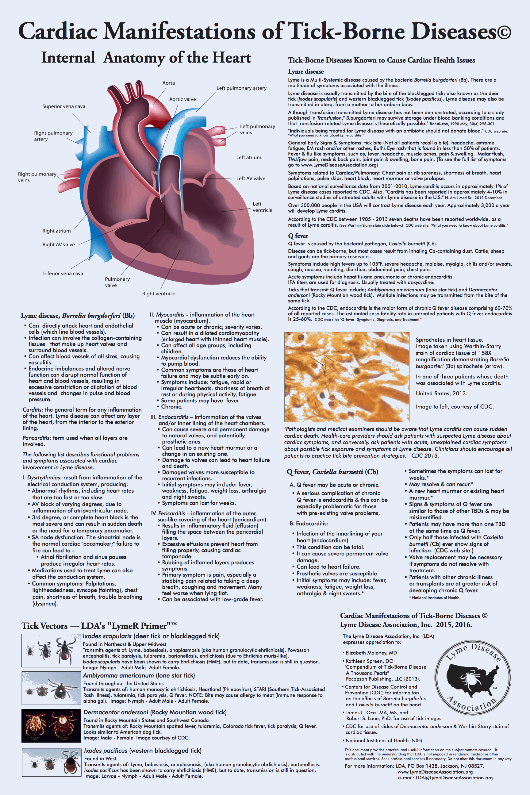 LDA Cardiac Poster