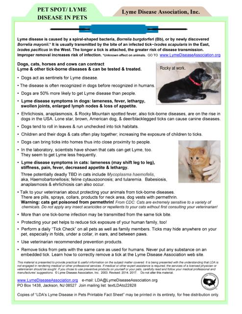 LDA Pet Fact Sheet - Lyme Disease Association