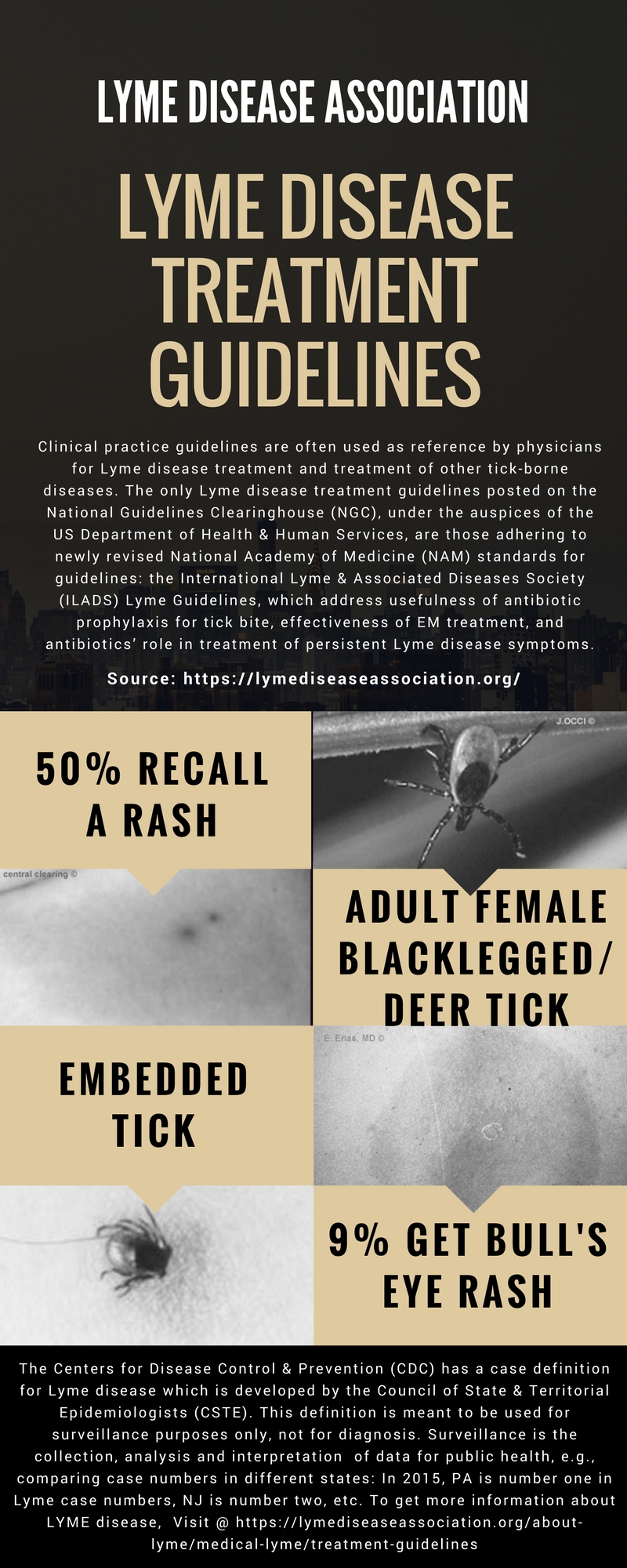 Lyme Disease Treaments and Prevention