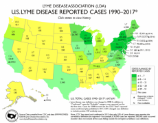 2017 US Lyme Case Map