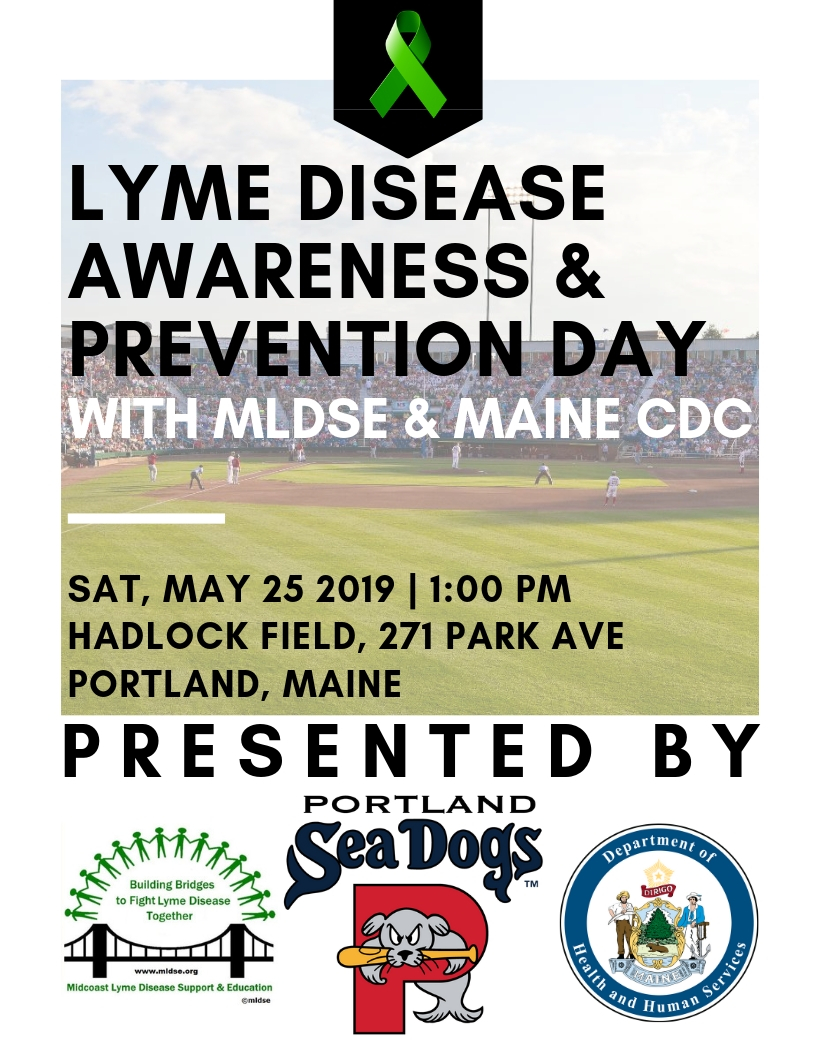 support lyme disease awareness