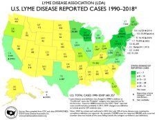 2018 US Reported Lyme Disease Cases Featuring Top 15 States