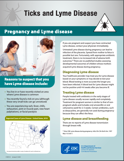 CDC Pregnancy