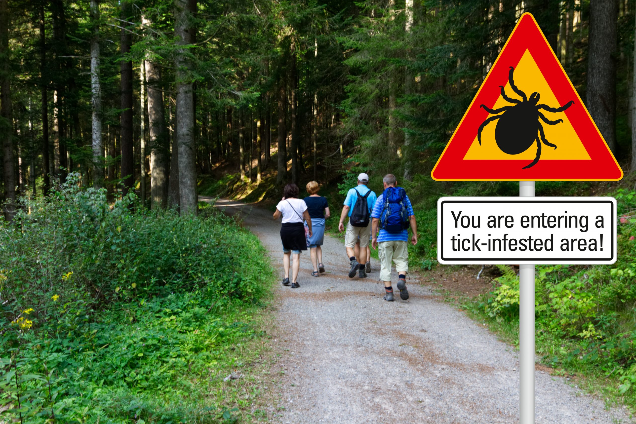 Tick bite prevention warning sign- hikers walking through the forest
