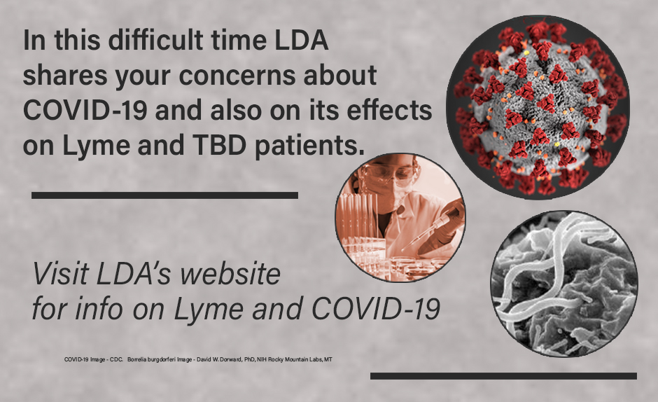 Info on Lyme and Covid-19
