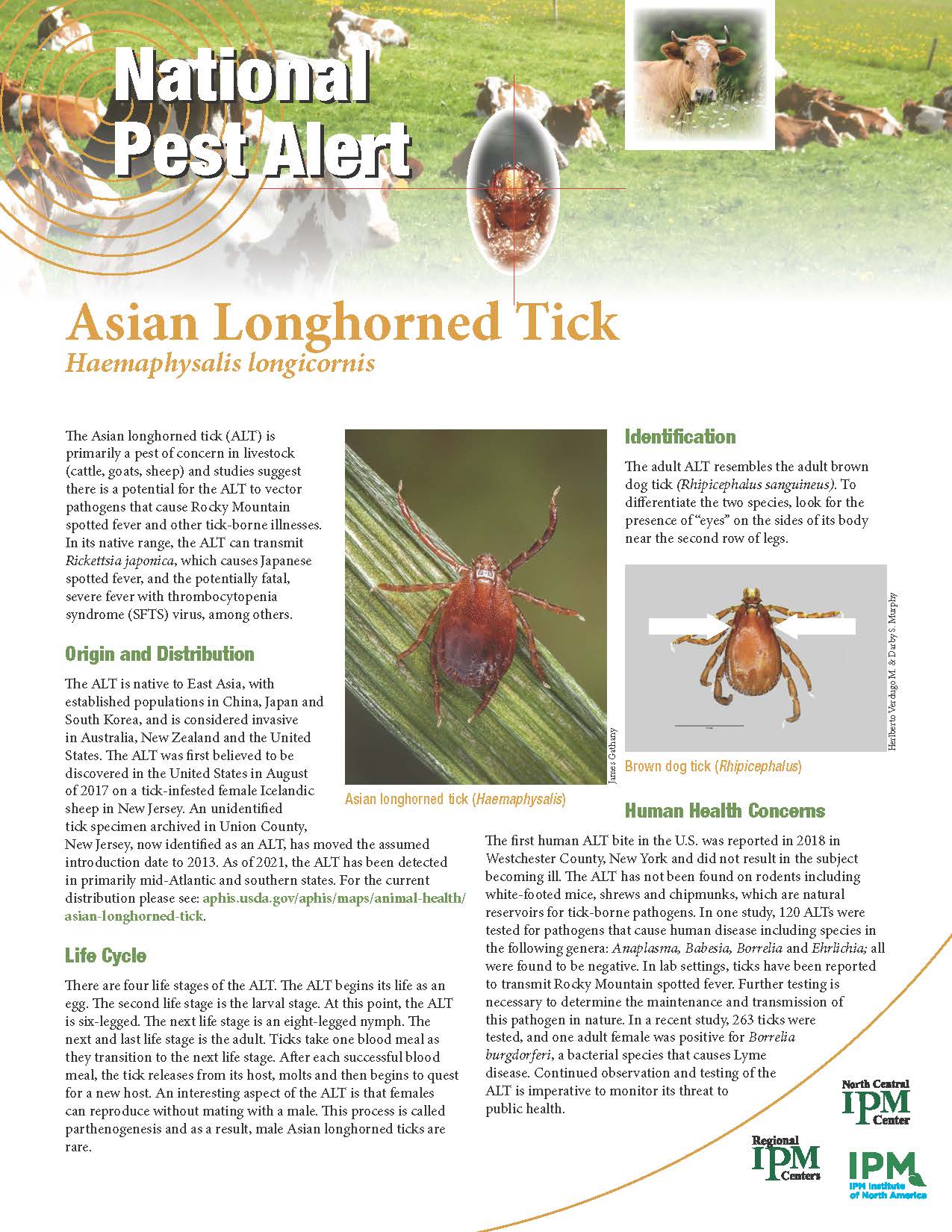 Asian Longhorned Tick Alert