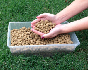 Picture of mouse food pellets