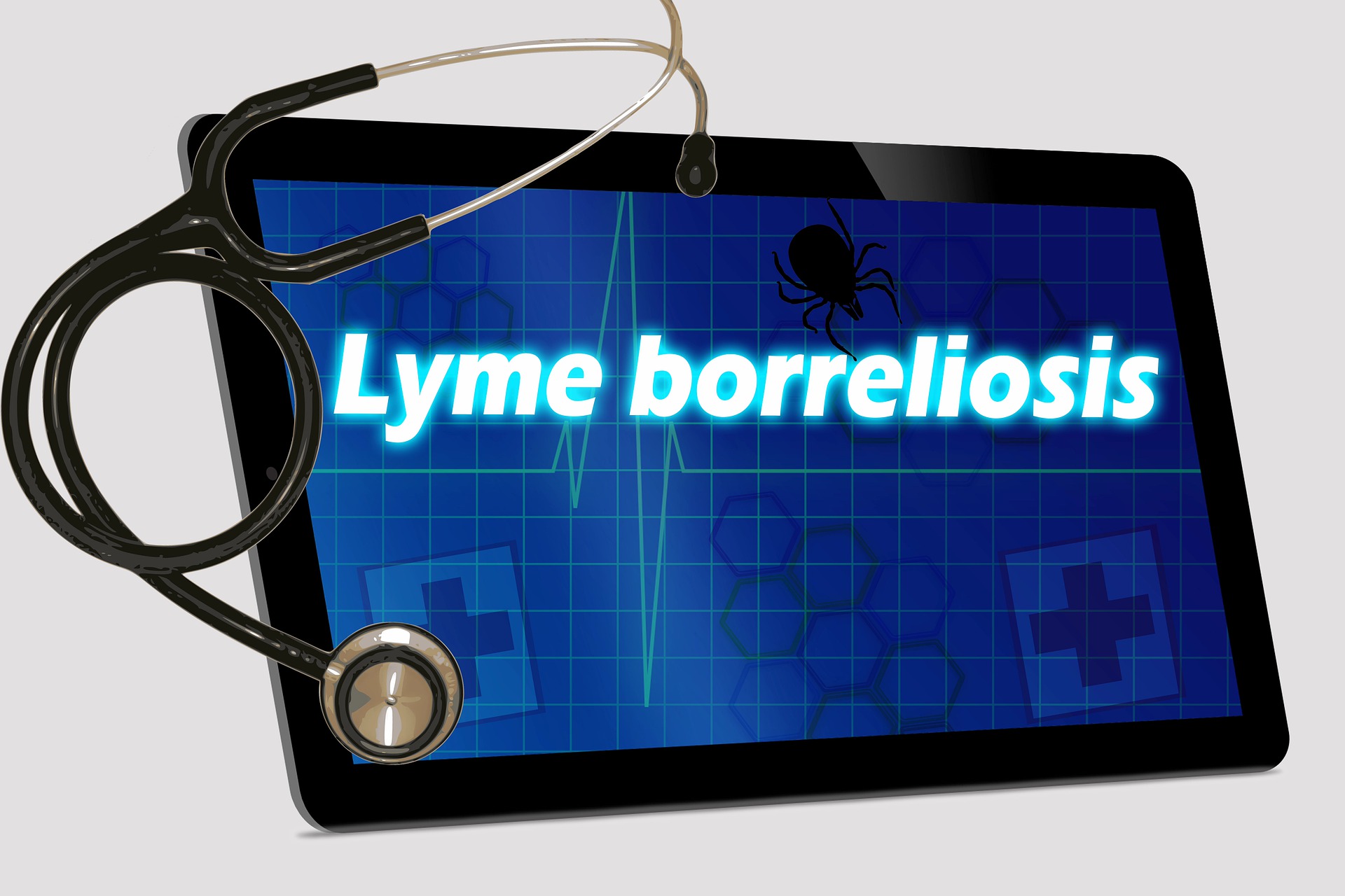 lyme-disease-4669319_1920
