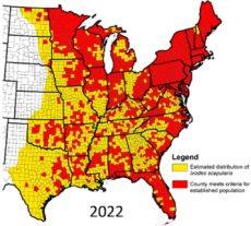 US Geographical Distrubution of Ixodes scapularis 2022