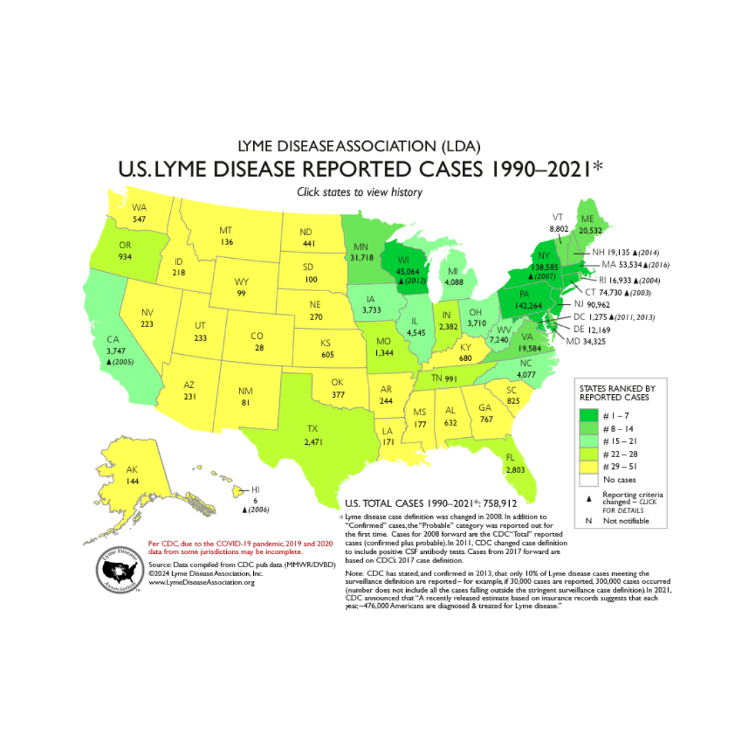 Lyme Statistics Across the U.S.