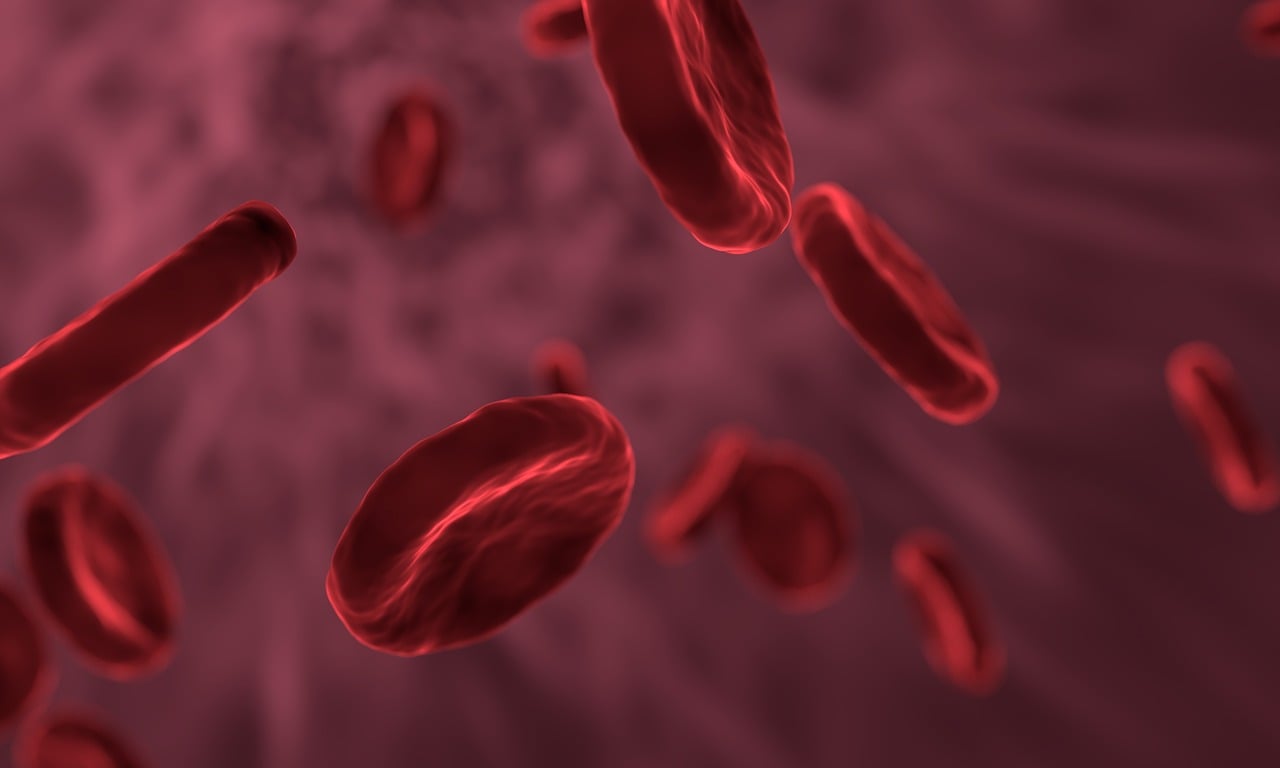 Red blood cells, Babesia