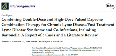 Combining Double-Dose and High-Dose Pulsed Dapsone Combination Therapy - Dr. Richard Horowitz